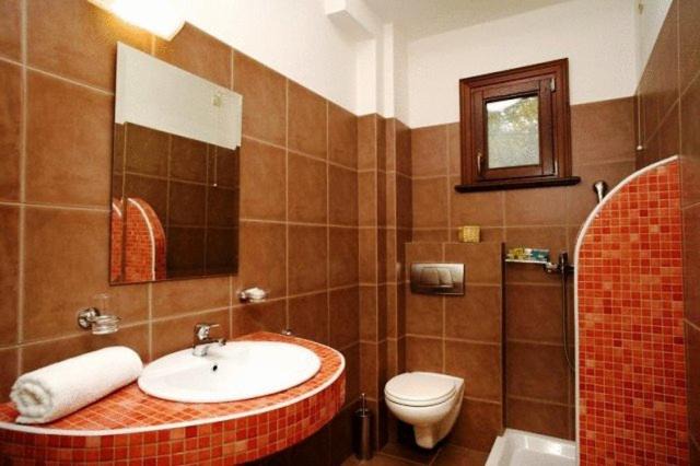 Photo of Bathroom in Megalos Prinos