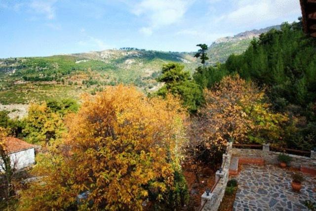 Photo of Outdoor in Megalos Prinos
