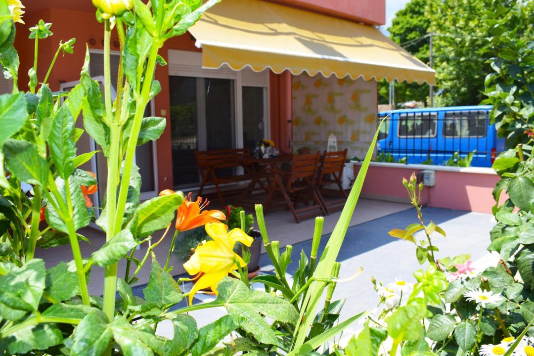 Photo of Others in Skala Potamias