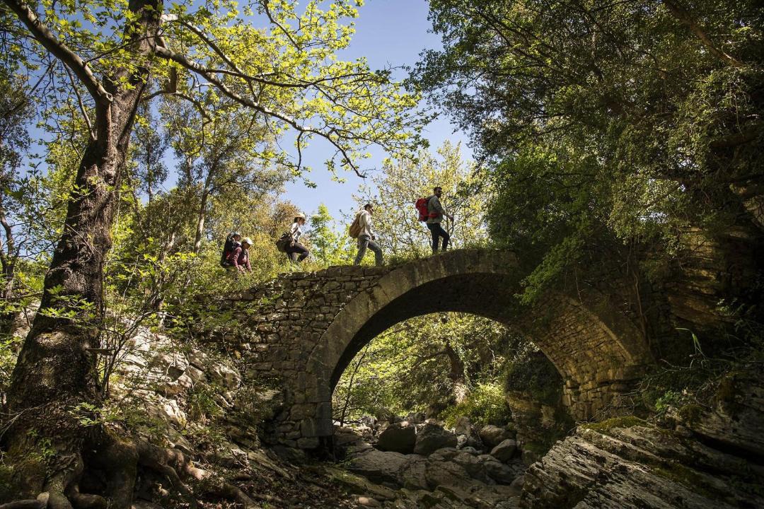 Photo of Others in Abeliona
