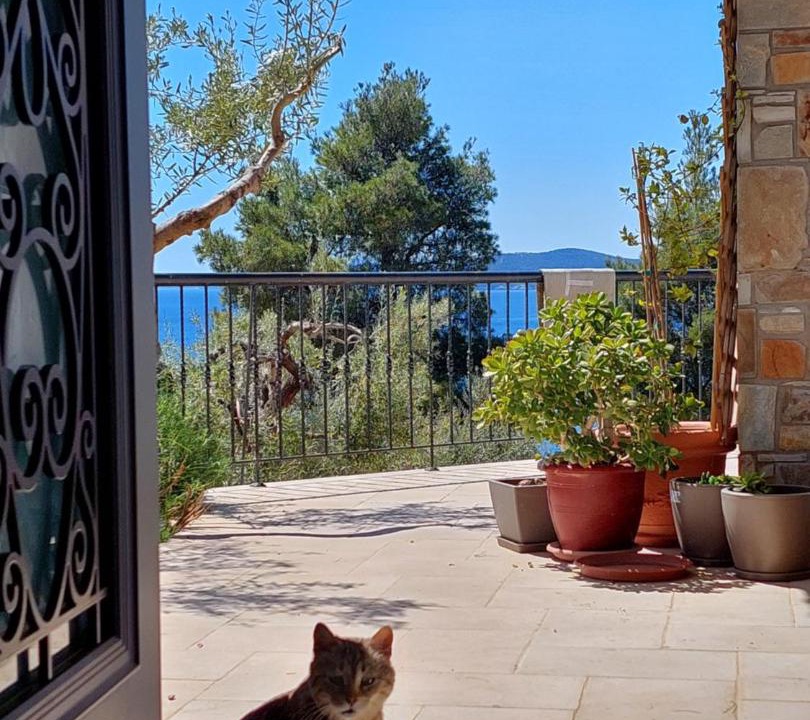 Photo of Others in Paradhisos