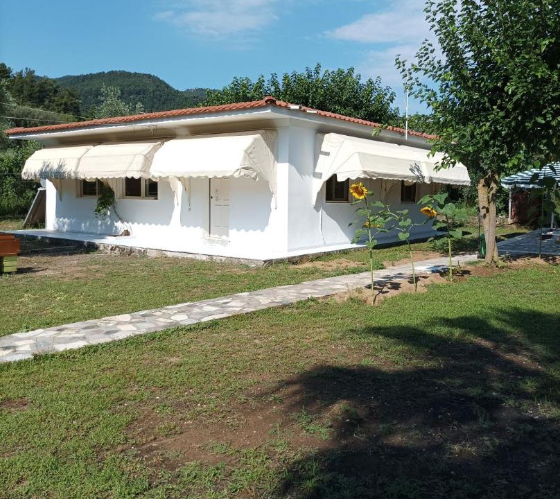 Photo of Buildings in Thasos Town