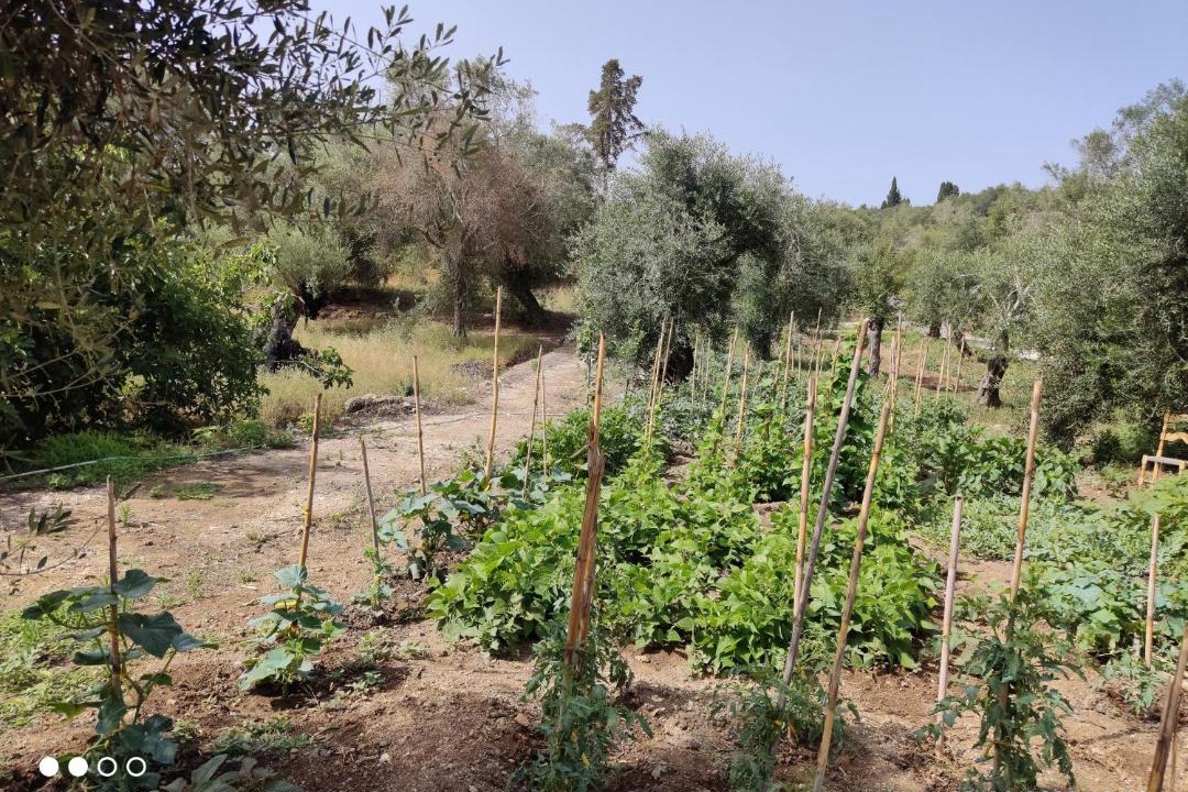 Photo of Outdoor in Roumanades