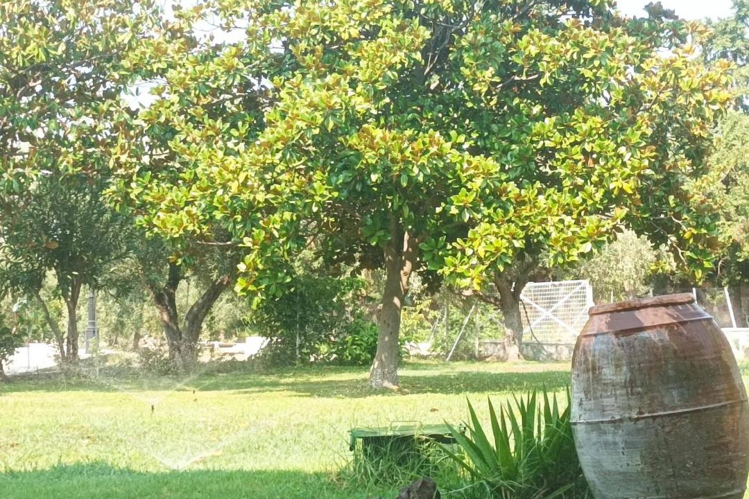 Photo of Others in Chalcis