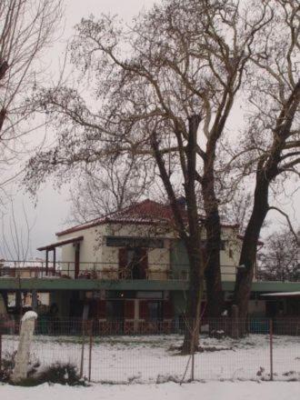 Photo of Others in Limin Litochorou