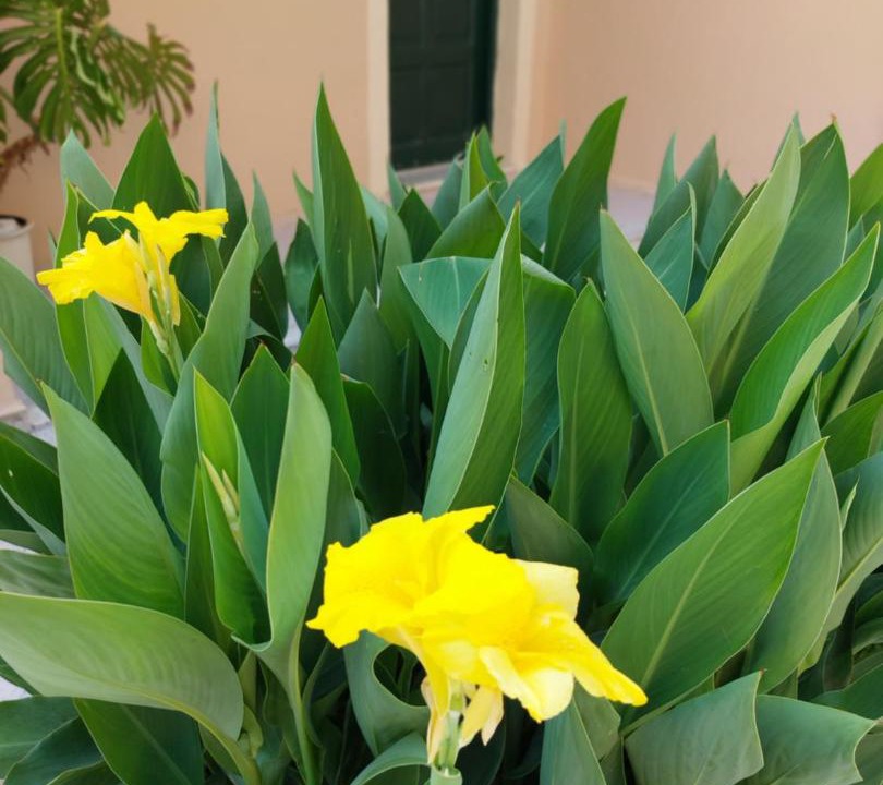 Photo of Outdoor in Ipsos
