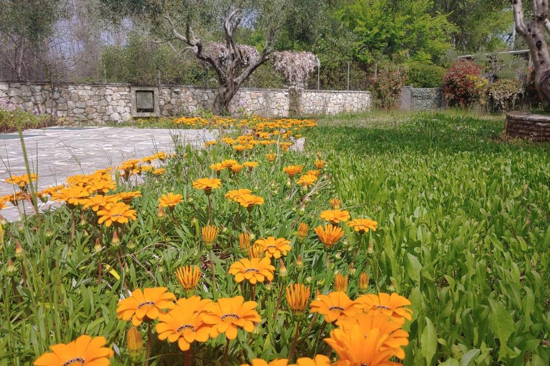 Photo of Outdoor in Dassia