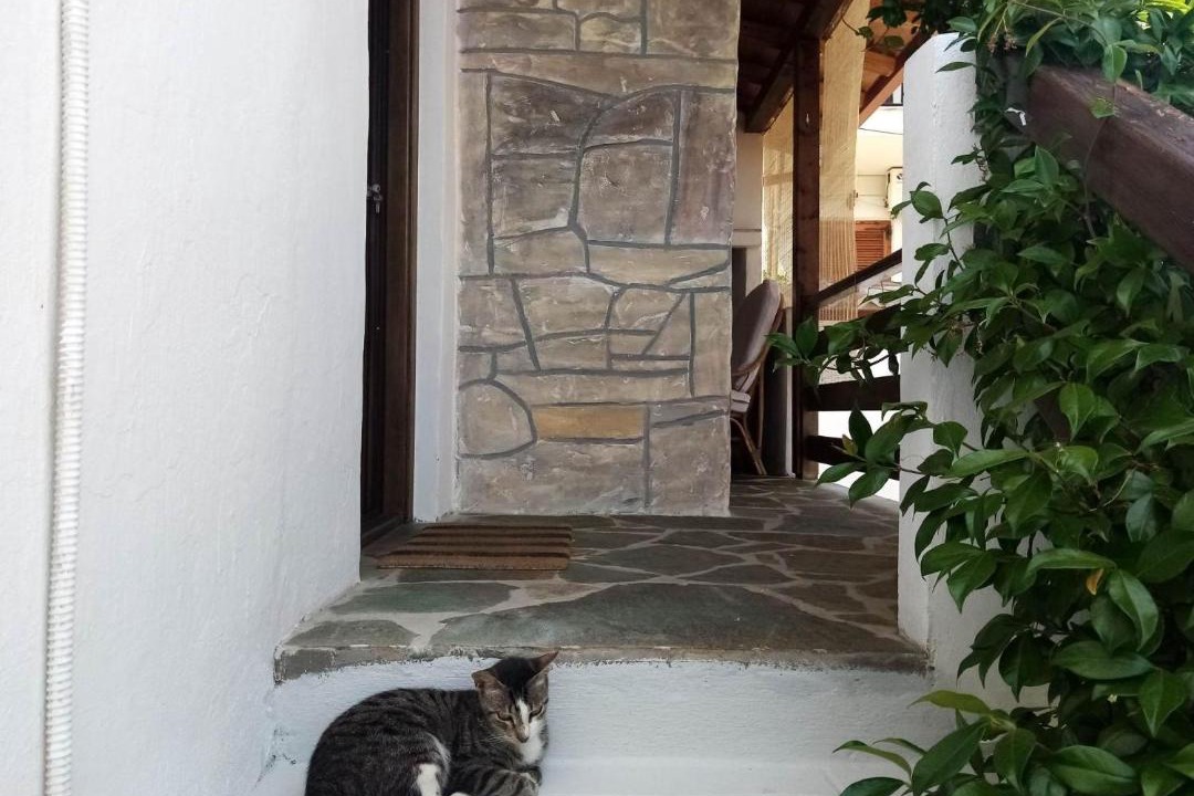 Photo of Others in Agios Nikolaos