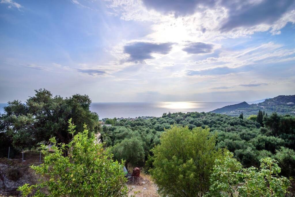 Photo of Others in Lygia