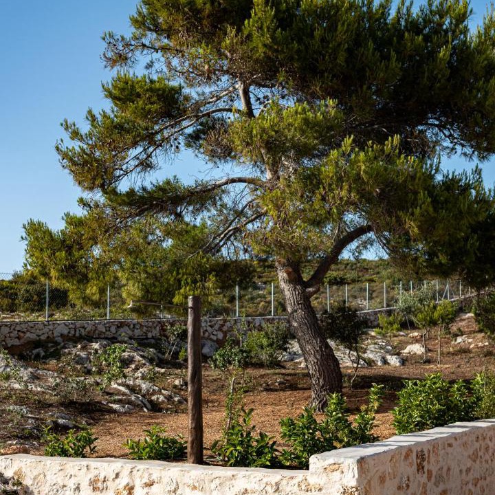 Photo of Others in Agia Marina