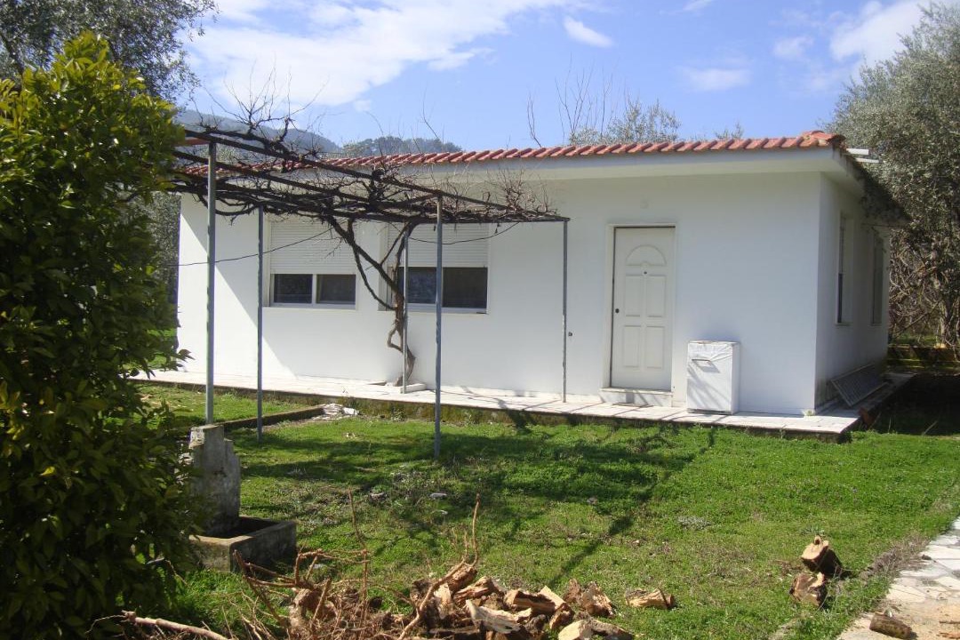 Photo of Buildings in Thasos Town
