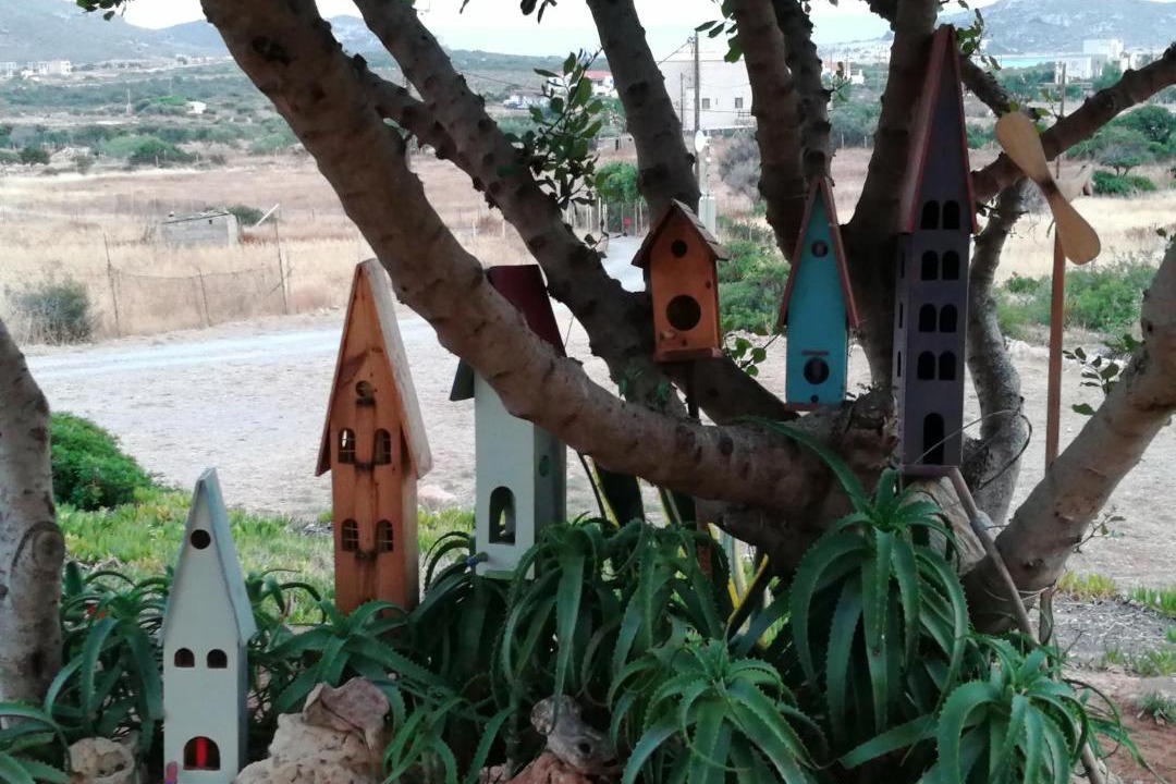 Photo of Others in Elafonisos