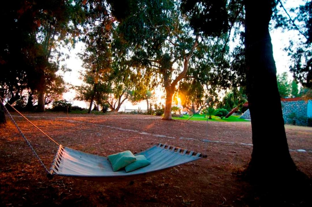 Photo of Others in Eretria