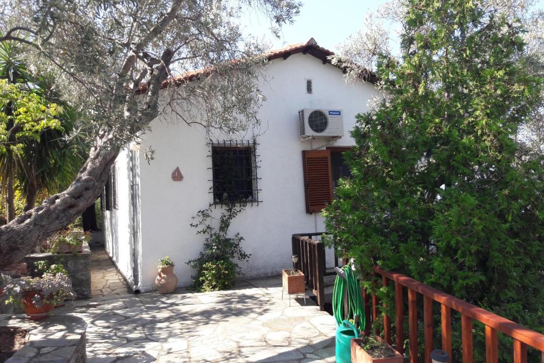 Photo of Others in Afissos