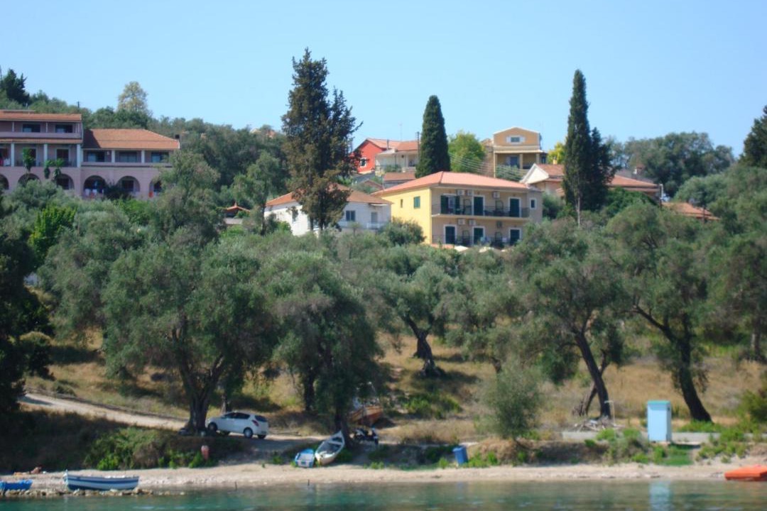 Photo of Others in Petriti