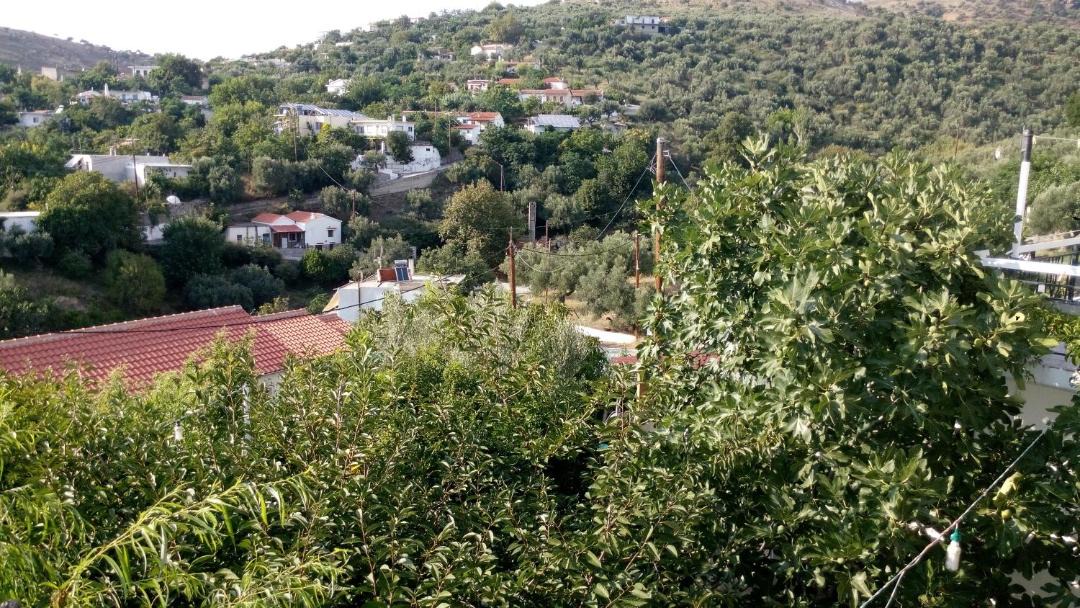 Photo of Others in Samothrace