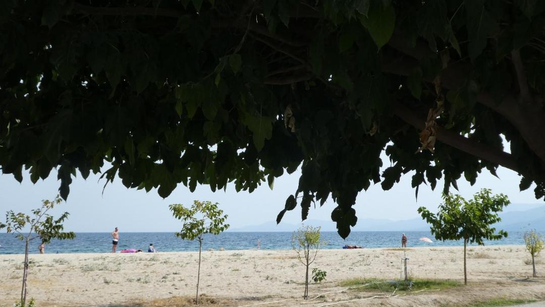 Photo of Others in Asprovalta
