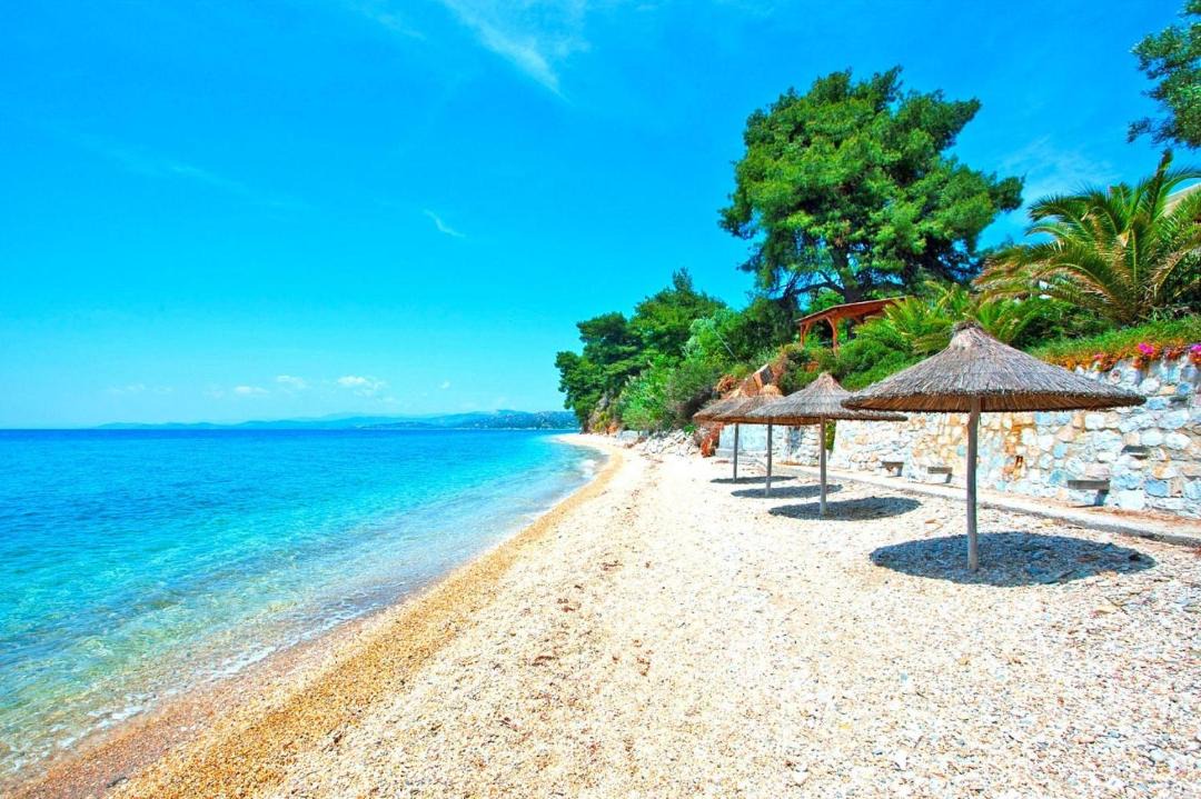 Photo of Others in Elia Nikitis