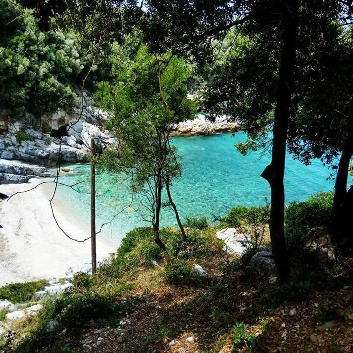 Photo of Others in Pagoneri