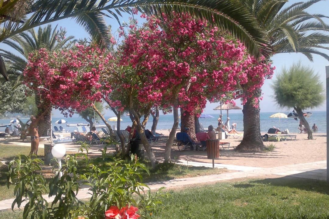 Photo of Others in Messonghi