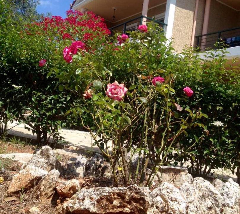 Photo of Others in Loucha