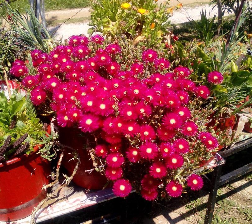 Photo of Outdoor in Pirgi Thermis