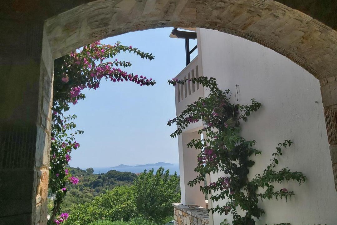 Photo of Others in Alonnisos Old Town