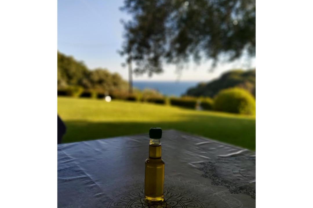 Photo of Others in Zalongo