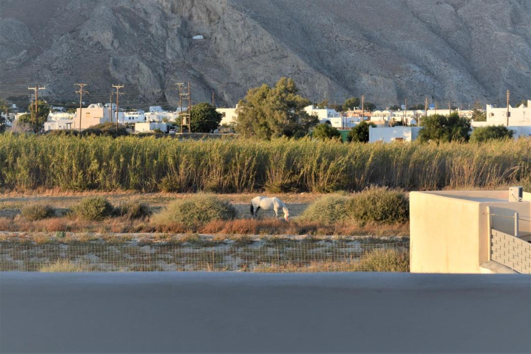 Photo of Others in Perivolos