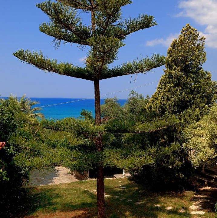 Photo of Others in Lygia