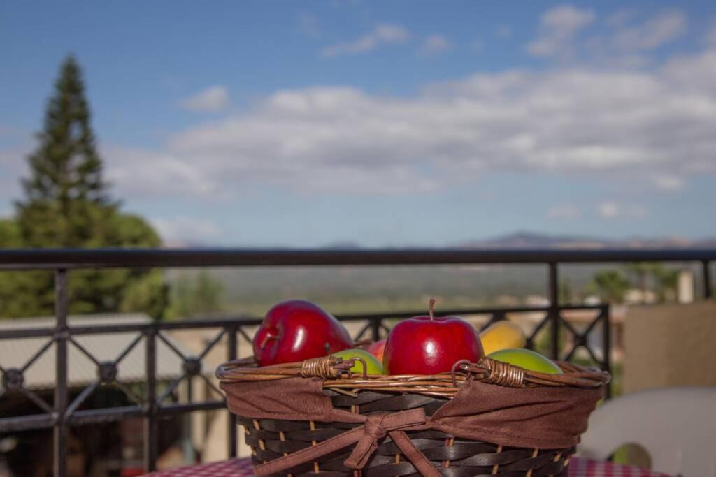 Photo of Patio Balcony in Loukia