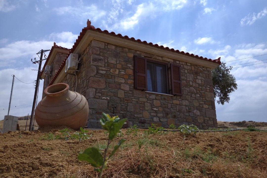 Photo of Others in Lemnos