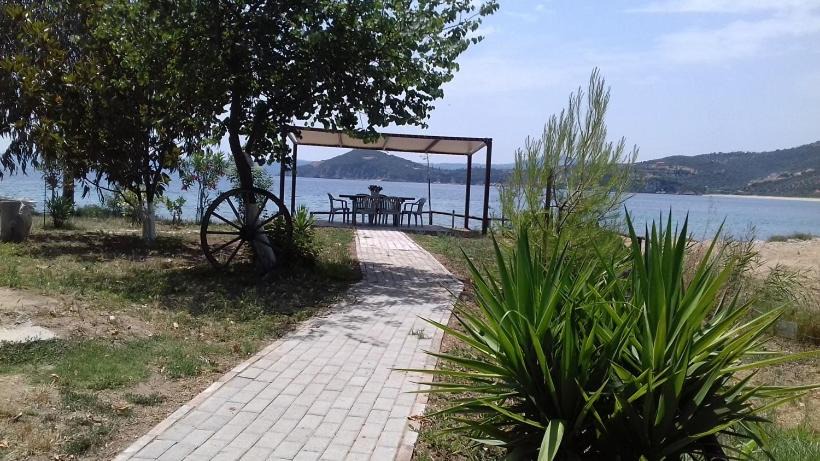 Photo of Others in Aristotelis