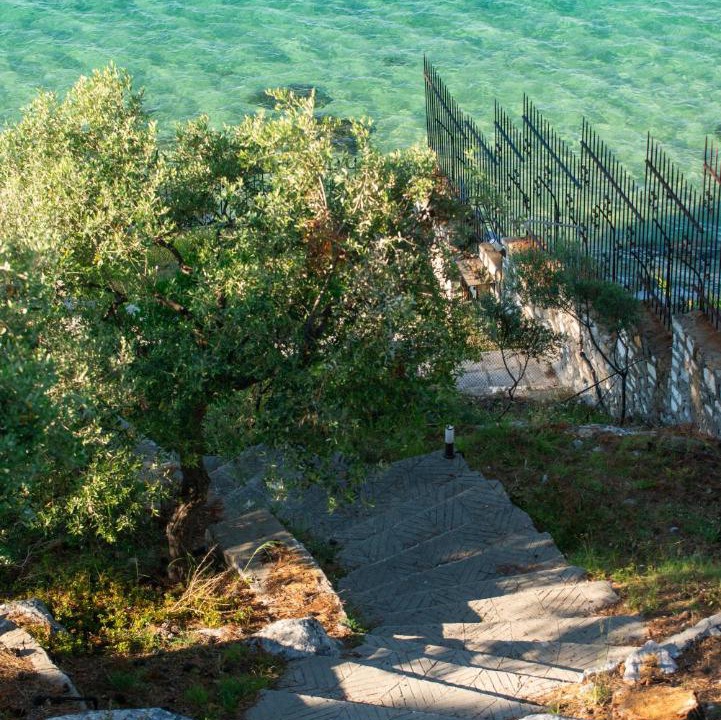 Photo of Others in Thasos Town