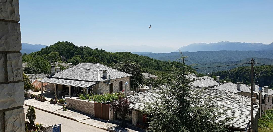 Photo of Others in Monodendri