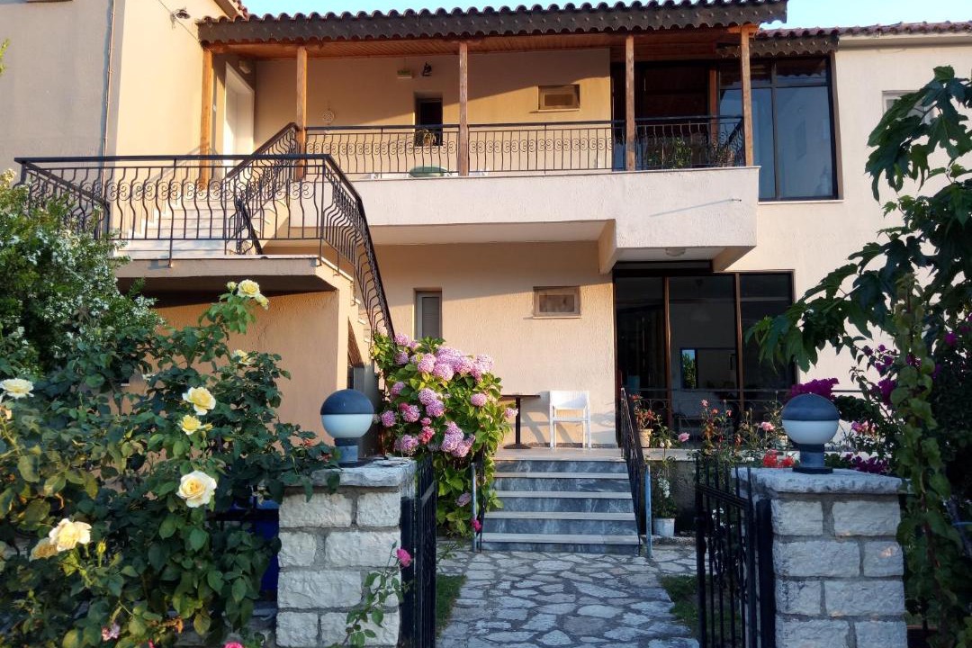 Photo of Others in Lygia