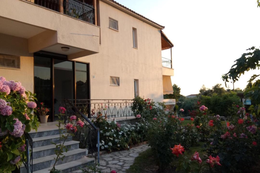 Photo of Others in Lygia