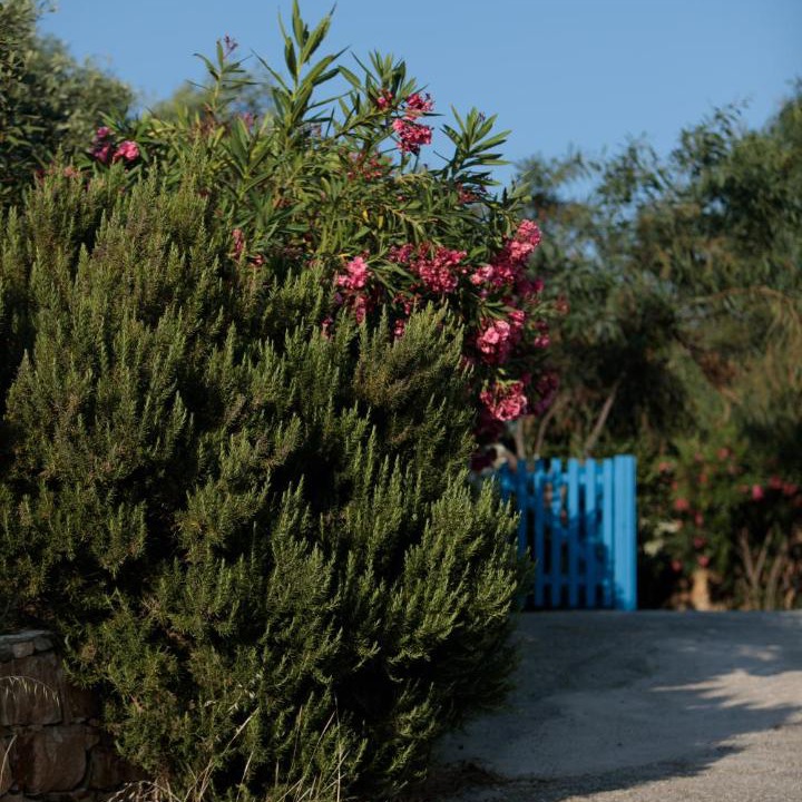 Photo of Others in Glinado
