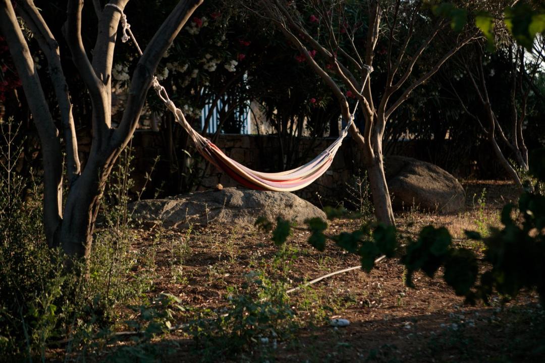 Photo of Others in Glinado