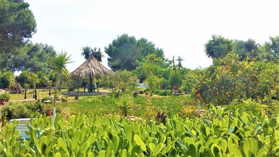 Photo of Others in Agios Matthaios