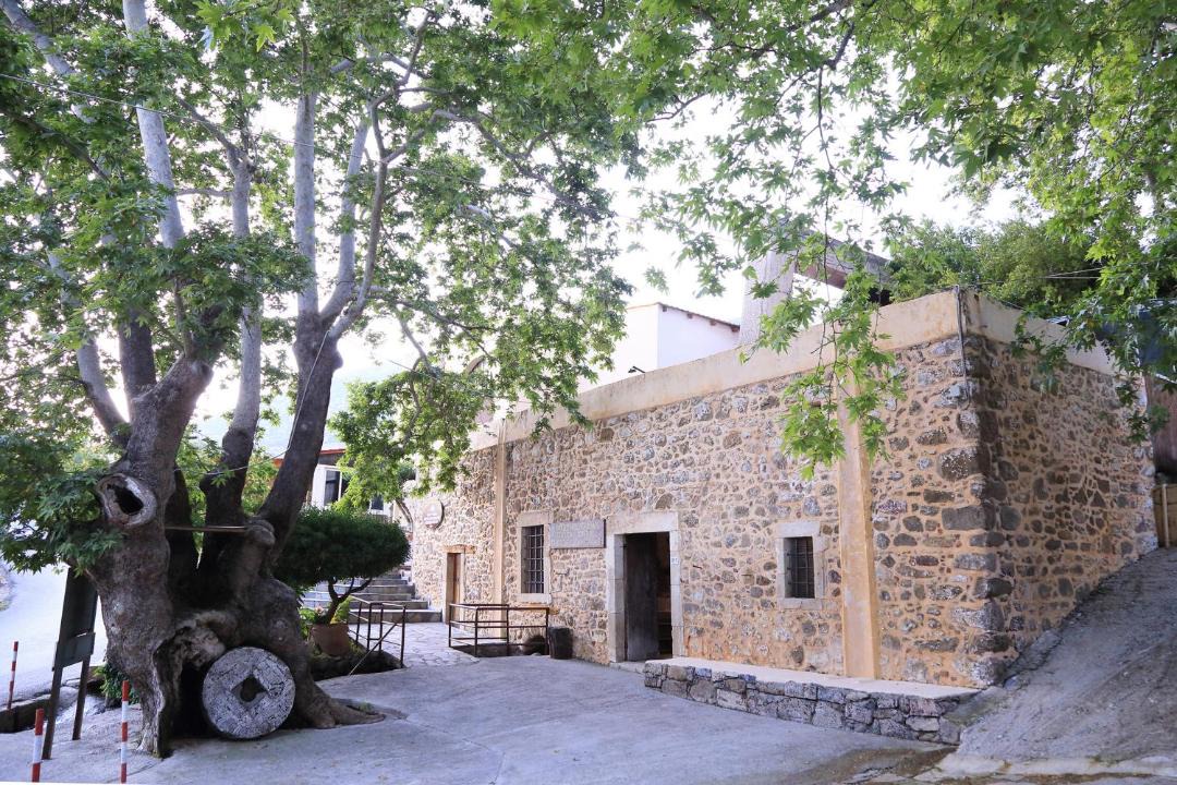 Photo of Others in Zaros