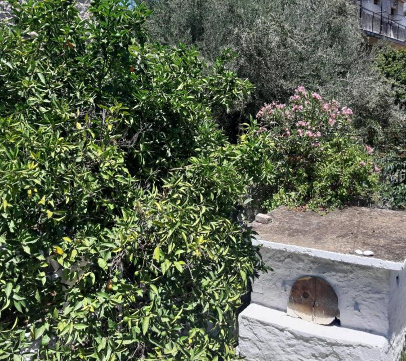Photo of Others in Kardamyli
