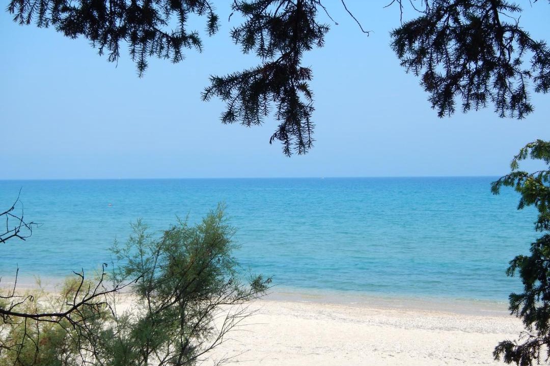 Photo of Others in Almiros Beach