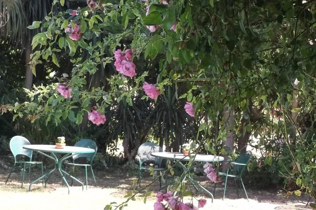 Photo of Others in Peroulades