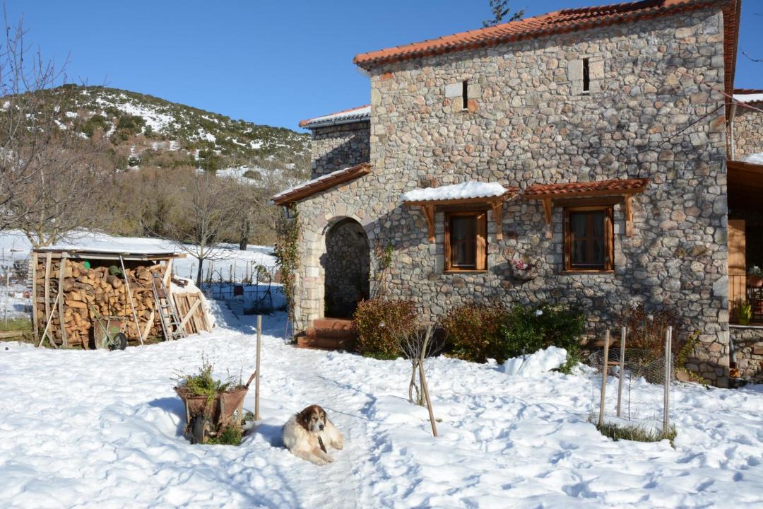 Photo of Others in Kalavrita