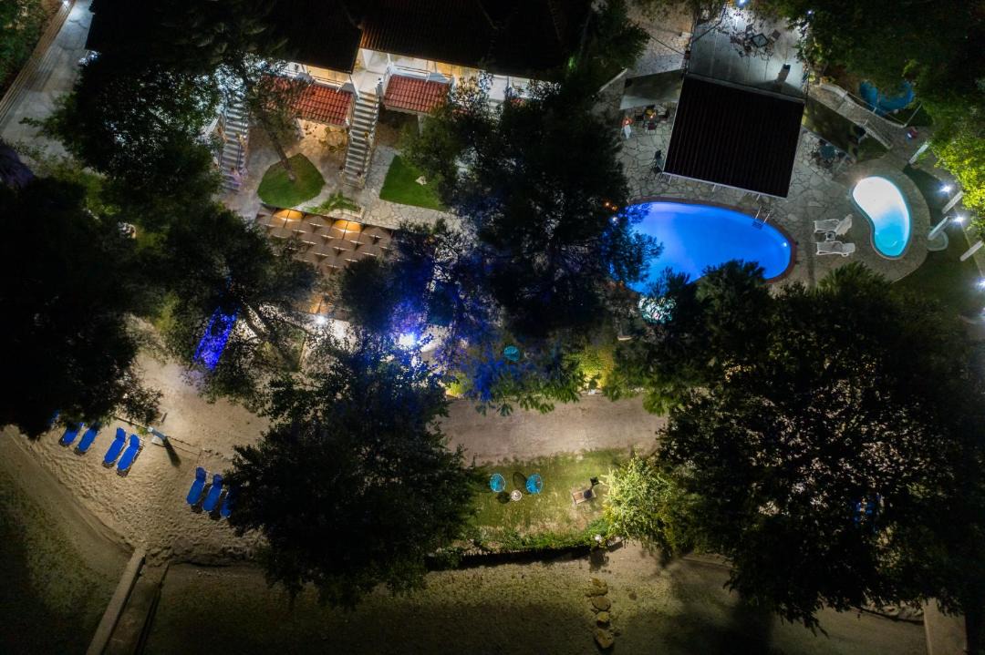 Photo of Others in Lygia