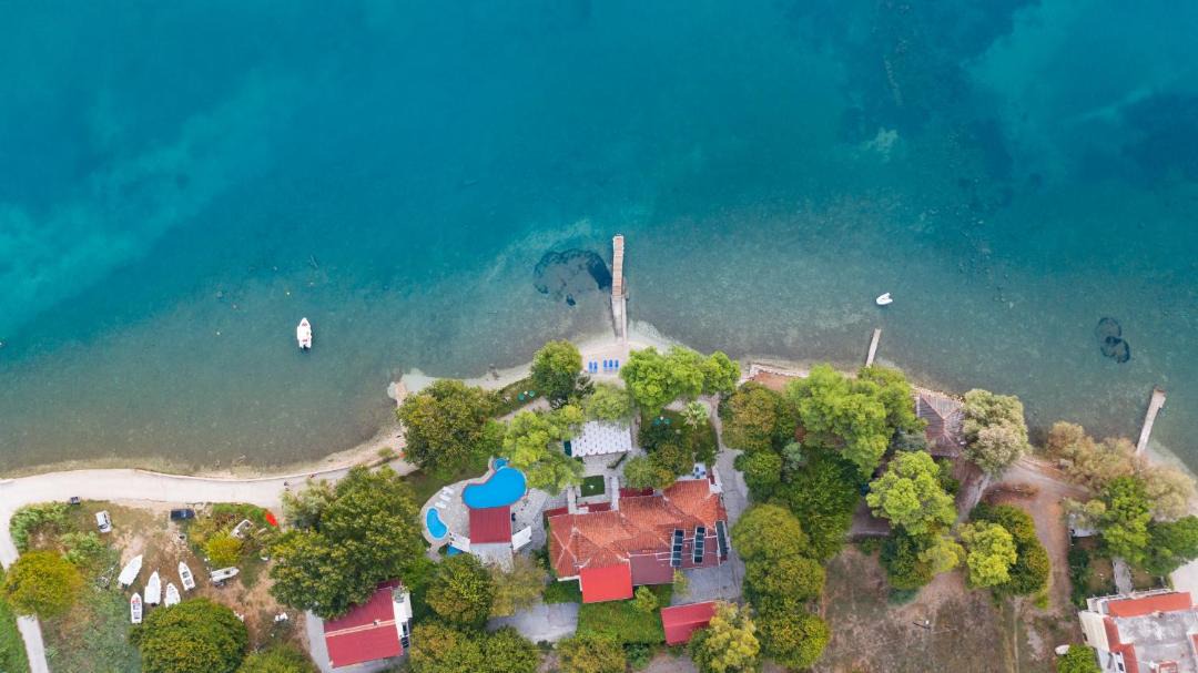 Photo of Others in Lygia