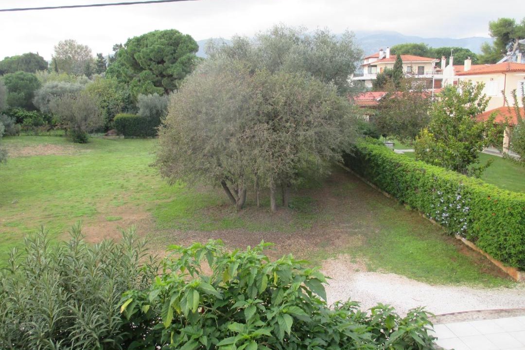 Photo of Others in Nea Makri