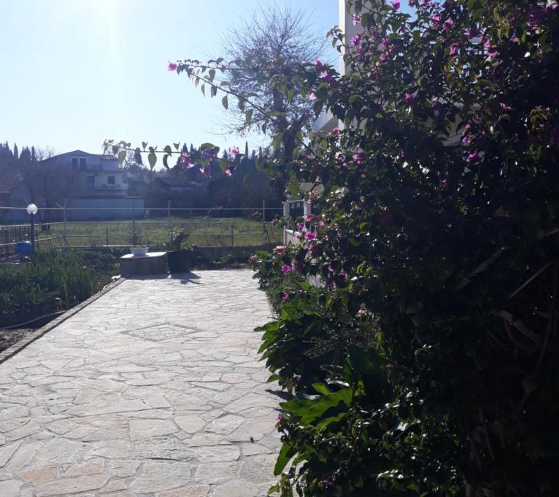 Photo of Others in Potamos