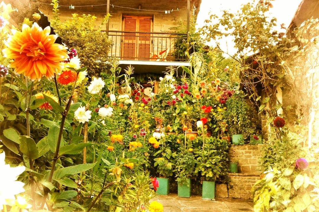 Photo of Others in Tsepelovo
